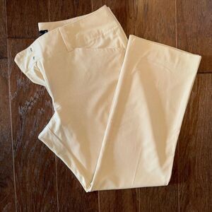 New York & Conpany 16 petite bootcut dress pants